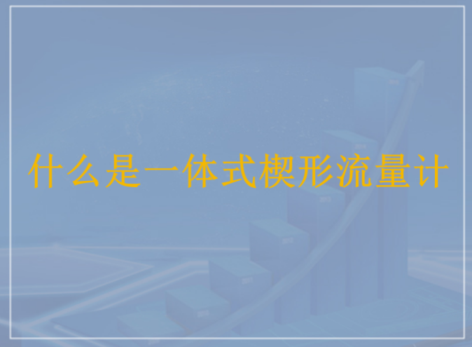 什么是一体式楔形流量计？九游J9