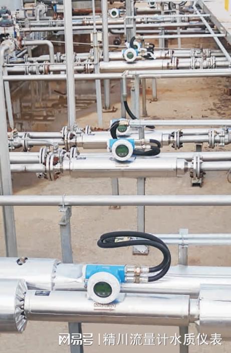直管质量流量计：开启精准测量新j9九游时代精川股份为您详解好处(图2)